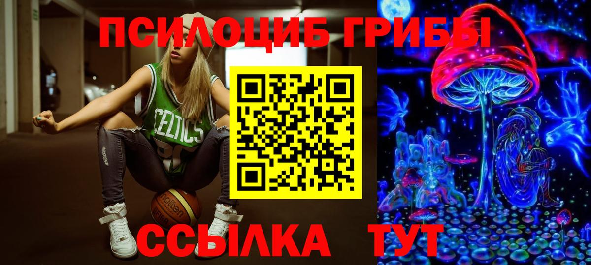 как найти наркотики  Псилоцибиновые грибы Psilocybe  Вход с VPN  Северодвинск  Псилоцибиновые грибы MAGIC MUSHROOMS 